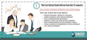 How-Crest-Infotech-Stands-different-from-other-IT-companies
