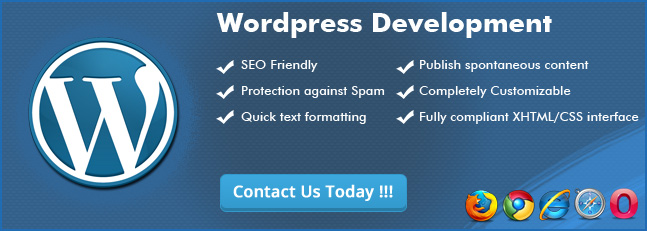 Hire WordPress Developer