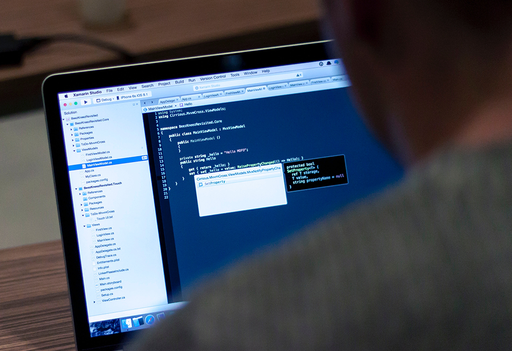 java development services